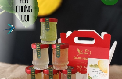 yen-sao-cho-nguoi-cao-huyet-ap-su-lua-chon-an-toan-va-hieu-qua