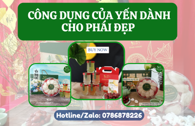 CÔNG DỤNG CỦA YẾN CHO PHÁI ĐẸP